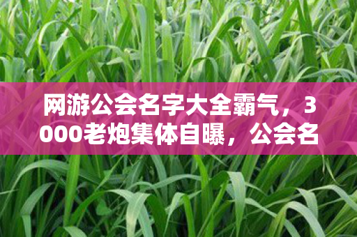 网游公会名字大全霸气,3000老炮集体自曝,公会名里藏的惊天秘密,听完我差点笑到网吧断电! 网游公会名字大全霸气,3000老炮集体自曝,公会名里藏的惊天秘密,听完我差点笑到网吧断电!