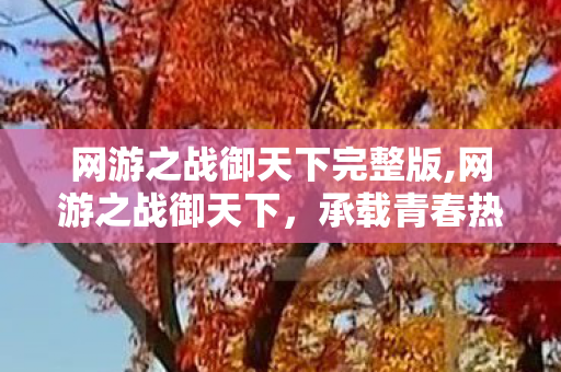 网游之战御天下完整版,网游之战御天下,承载青春热血的经典网游叙事 网游之战御天下完整版,网游之战御天下,承载青春热血的经典网游叙事