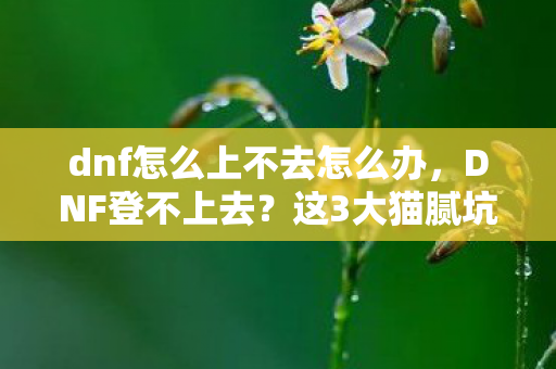 dnf怎么上不去怎么办，DNF登不上去？这3大猫腻坑掉你99%耐心，策划组在玩火！