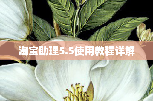 5使用教程详解图片
