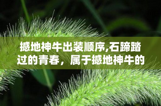 撼地神牛出装顺序,石蹄踏过的青春,属于撼地神牛的峡谷回响 撼地神牛出装顺序,石蹄踏过的青春,属于撼地神牛的峡谷回响