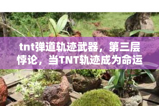 tnt弹道轨迹武器,第三层悖论,当TNT轨迹成为命运骰子,自由意志在爆炸中震颤 tnt弹道轨迹武器,第三层悖论,当TNT轨迹成为命运骰子,自由意志在爆炸中震颤