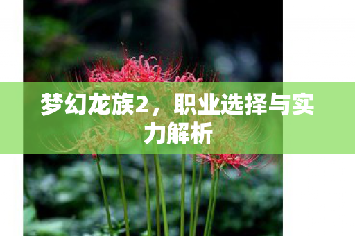 职业选择与实力解析图片