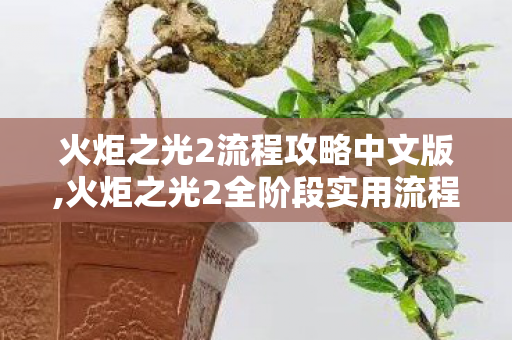 火炬之光2流程攻略中文版,火炬之光2全阶段实用流程攻略 新手开荒少走弯路指南 火炬之光2流程攻略中文版,火炬之光2全阶段实用流程攻略 新手开荒少走弯路指南