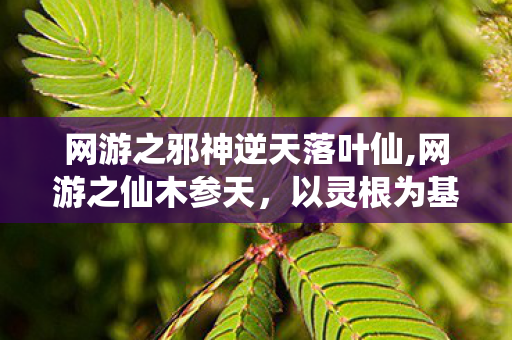 网游之邪神逆天落叶仙,网游之仙木参天，以灵根为基走出的别样修仙路