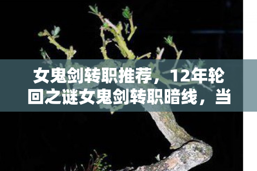 女鬼剑转职推荐,12年轮回之谜女鬼剑转职暗线,当代码成为遗书,谁在续写她的刀锋? 女鬼剑转职推荐,12年轮回之谜女鬼剑转职暗线,当代码成为遗书,谁在续写她的刀锋?