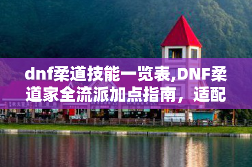 dnf柔道技能一览表,DNF柔道家全流派加点指南，适配不同玩法的高效技能分配思路