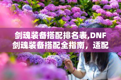 剑魂装备搭配排名表,DNF剑魂装备搭配全指南，适配不同阶段的成长思路分享
