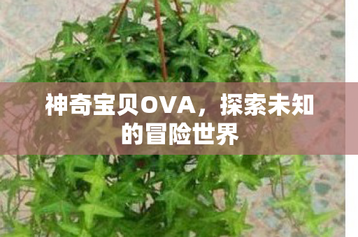 探索未知的冒险世界图片