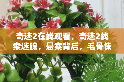 奇迹2在线观看,奇迹2线索迷踪,悬案背后,毛骨悚然的我竟是凶手? 奇迹2在线观看,奇迹2线索迷踪,悬案背后,毛骨悚然的我竟是凶手?