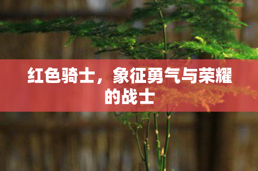 象征勇气与荣耀的战士图片
