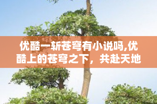 优酷一斩苍穹有小说吗,优酷上的苍穹之下，共赴天地间的诗意漫游