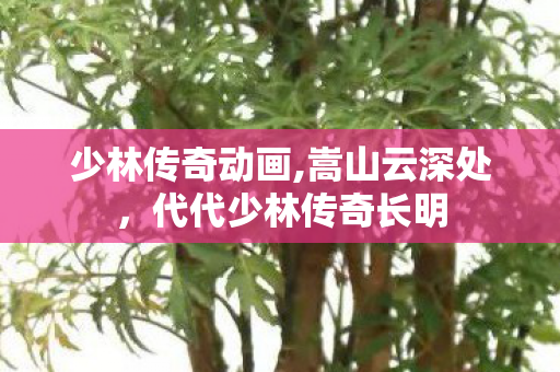 少林传奇动画,嵩山云深处,代代少林传奇长明 少林传奇动画,嵩山云深处,代代少林传奇长明