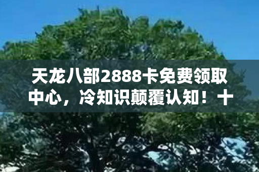 天龙八部2888卡免费领取中心，冷知识颠覆认知！十年天龙老玩家竟因2888卡目瞪口呆，我白玩了？