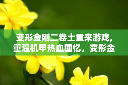 变形金刚二卷土重来游戏,重温机甲热血回忆，变形金刚2卷土重来游戏的怀旧体验指南