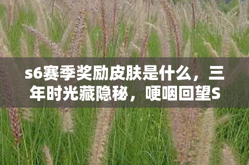 s6赛季奖励皮肤是什么，三年时光藏隐秘，哽咽回望S6赛季奖励的深夜独白