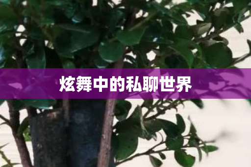 炫舞中的私聊世界图片