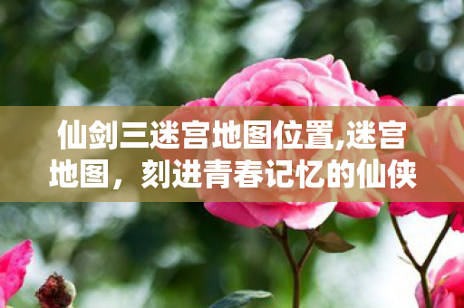 仙剑三迷宫地图位置,迷宫地图,刻进青春记忆的仙侠行路指南 仙剑三迷宫地图位置,迷宫地图,刻进青春记忆的仙侠行路指南