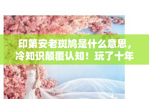 印第安老斑鸠是什么意思,冷知识颠覆认知!玩了十年印第安老斑鸠的我,竟目瞪口呆发现…… 印第安老斑鸠是什么意思,冷知识颠覆认知!玩了十年印第安老斑鸠的我,竟目瞪口呆发现……