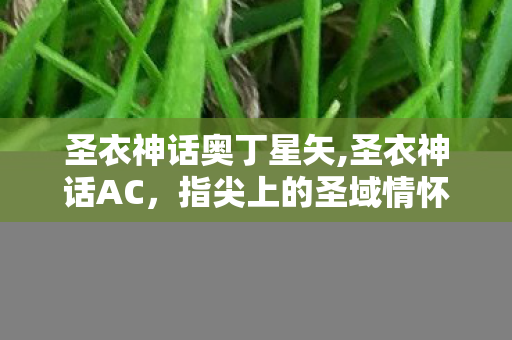圣衣神话奥丁星矢,圣衣神话AC,指尖上的圣域情怀,一代人的收藏浪漫 圣衣神话奥丁星矢,圣衣神话AC,指尖上的圣域情怀,一代人的收藏浪漫