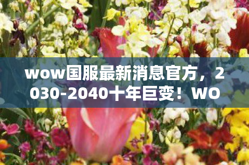 wow国服最新消息官方，2030-2040十年巨变！WOW新资料片竟藏惊天秘密，颠覆认知！