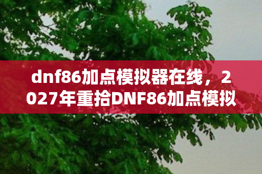 dnf86加点模拟器在线，2027年重拾DNF86加点模拟器，伏笔揭开旧情，鼻子一酸泪满襟