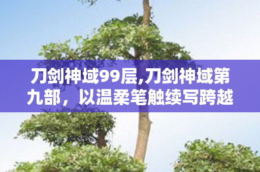 刀剑神域99层,刀剑神域第九部，以温柔笔触续写跨越虚拟与现实的羁绊