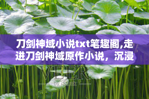 刀剑神域小说txt笔趣阁,走进刀剑神域原作小说,沉浸式幻想世界的文字魅力 刀剑神域小说txt笔趣阁,走进刀剑神域原作小说,沉浸式幻想世界的文字魅力