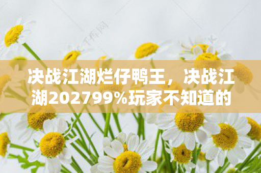 决战江湖烂仔鸭王,决战江湖202799%玩家不知道的3大变革!亲测后我悟了…… 决战江湖烂仔鸭王,决战江湖202799%玩家不知道的3大变革!亲测后我悟了……