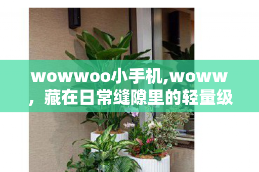 wowwoo小手机,woww,藏在日常缝隙里的轻量级惊喜暗号 wowwoo小手机,woww,藏在日常缝隙里的轻量级惊喜暗号