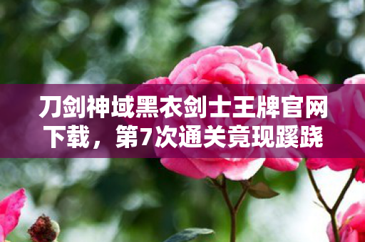 刀剑神域黑衣剑士王牌官网下载，第7次通关竟现蹊跷！黑衣剑士王牌背后，细思极恐后背发凉