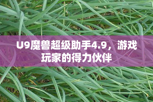 U9魔兽超级助手4图片