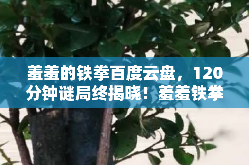 羞羞的铁拳百度云盘,120分钟谜局终揭晓!羞羞铁拳十年沉浮录,泪目真相竟藏于此 羞羞的铁拳百度云盘,120分钟谜局终揭晓!羞羞铁拳十年沉浮录,泪目真相竟藏于此