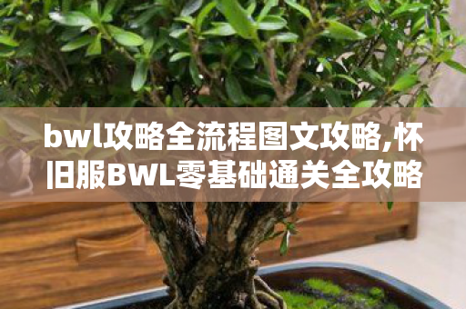 bwl攻略全流程图文攻略,怀旧服BWL零基础通关全攻略 助力团队顺畅圆梦黑翼之巢 bwl攻略全流程图文攻略,怀旧服BWL零基础通关全攻略 助力团队顺畅圆梦黑翼之巢