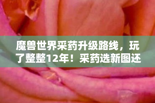 魔兽世界采药升级路线，玩了整整12年！采药选新图还是旧地？老玩家陷入终极纠结！