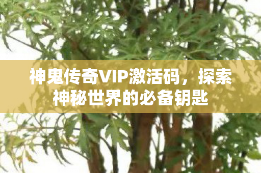 探索神秘世界的必备钥匙图片