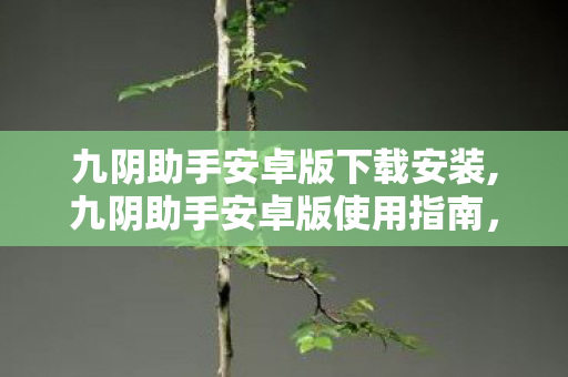九阴助手安卓版下载安装,九阴助手安卓版使用指南,助力国风武侠游玩体验升级 九阴助手安卓版下载安装,九阴助手安卓版使用指南,助力国风武侠游玩体验升级