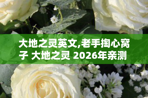 大地之灵英文,老手掏心窝子 大地之灵 2026年亲测 几个坑我替你踩过了 别再交学费 大地之灵英文,老手掏心窝子 大地之灵 2026年亲测 几个坑我替你踩过了 别再交学费