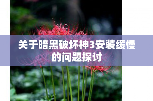 关于暗黑破坏神3安装缓慢的问题探讨图片