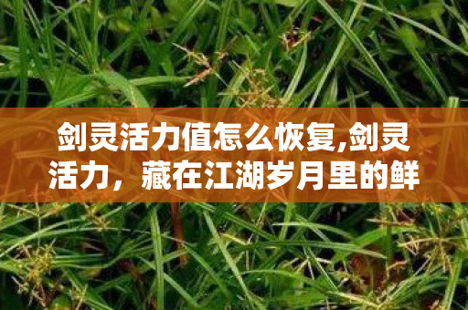 剑灵活力值怎么恢复,剑灵活力，藏在江湖岁月里的鲜活余温
