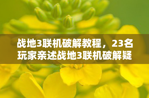 战地3联机破解教程，23名玩家亲述战地3联机破解疑云，这操作我当场笑到键盘离家出走