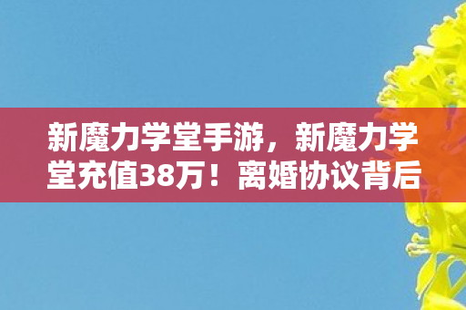 新魔力学堂手游，新魔力学堂充值38万！离婚协议背后，我亲手拆家的惊天隐情！