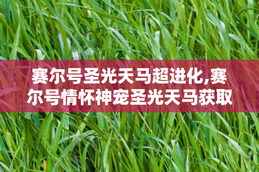 赛尔号圣光天马超进化,赛尔号情怀神宠圣光天马获取全攻略 零氪也能轻松解锁童年回忆