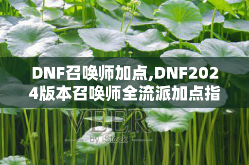 DNF召唤师加点,DNF2024版本召唤师全流派加点指南，兼顾搬砖与团本的最优方案