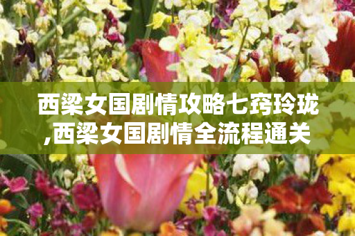 西梁女国剧情攻略七窍玲珑,西梁女国剧情全流程通关攻略,解锁专属奇遇与丰厚奖励 西梁女国剧情攻略七窍玲珑,西梁女国剧情全流程通关攻略,解锁专属奇遇与丰厚奖励