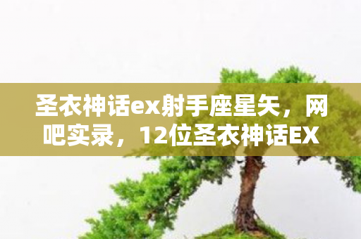 圣衣神话ex射手座星矢，网吧实录，12位圣衣神话EX玩家自曝，疑点重重竟让硬汉绷不住泪崩！