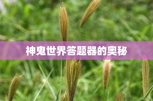 神鬼世界答题器的奥秘图片