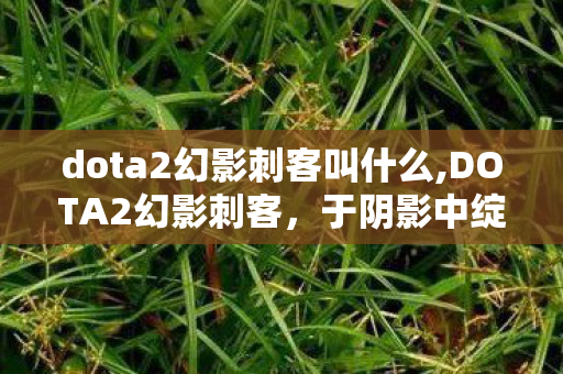dota2幻影刺客叫什么,DOTA2幻影刺客，于阴影中绽放的致命莲华