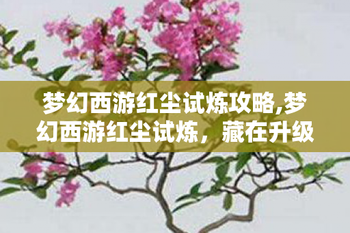 梦幻西游红尘试炼攻略,梦幻西游红尘试炼,藏在升级路上的旧时光小确幸 梦幻西游红尘试炼攻略,梦幻西游红尘试炼,藏在升级路上的旧时光小确幸