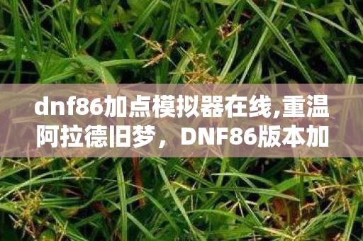 dnf86加点模拟器在线,重温阿拉德旧梦，DNF86版本加点模拟器的实用指南